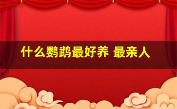 什么鹦鹉最好养 最亲人